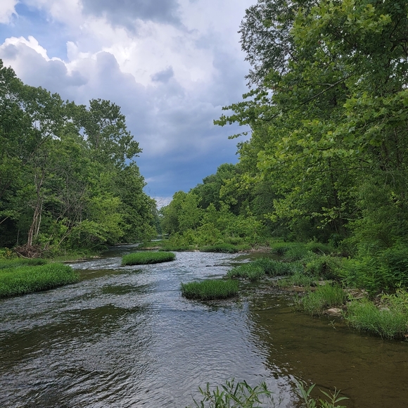 Ethereal Whimsical Vintage Pastel Cottagecore - Picture 13 of 16